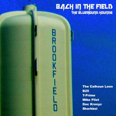 BACK IN THE FIELD - The Bluemound Hound$ (MUSIC VIDEO IN DESCRIPTION)