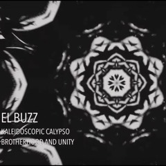 El BuzZ - Kaleidoscopic Calypso -  $100 FOR THE BEST DNB REMIX!  Video link in description!