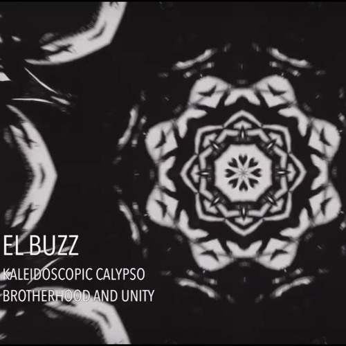 El BuzZ - Kaleidoscopic Calypso -  $100 FOR THE BEST DNB REMIX!  Video link in description!