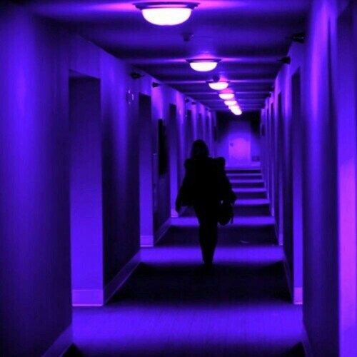 Lucid