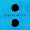 Shape Of You - Ed Sheeran | RJXX Remix