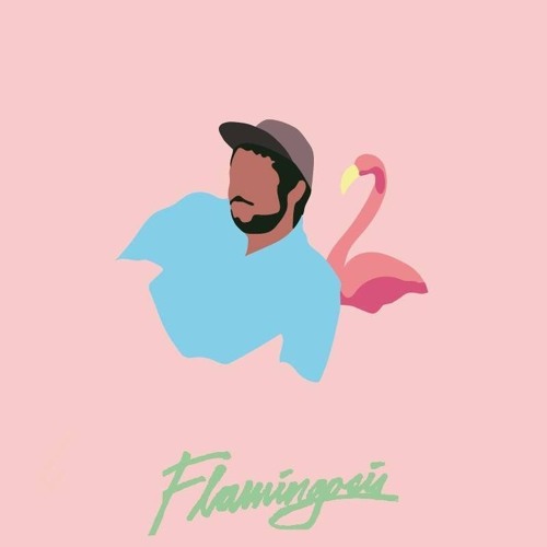 Flamingosis - Amerie Flip