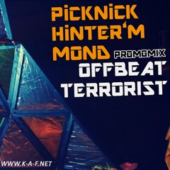 Picknick Hinter'm Mond Promotape: Offbeatterrorist