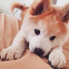 You Lie (The Band Perry cover)