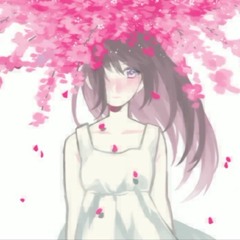五右衛門 - ブーゲンビリア/ Bougainvillea【Friday】