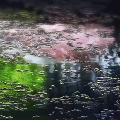 Lost Garbage 2