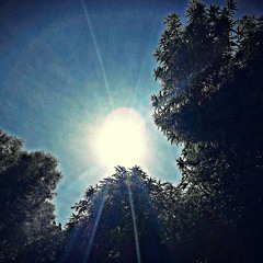 "Your love is like the sun." -Alamid.