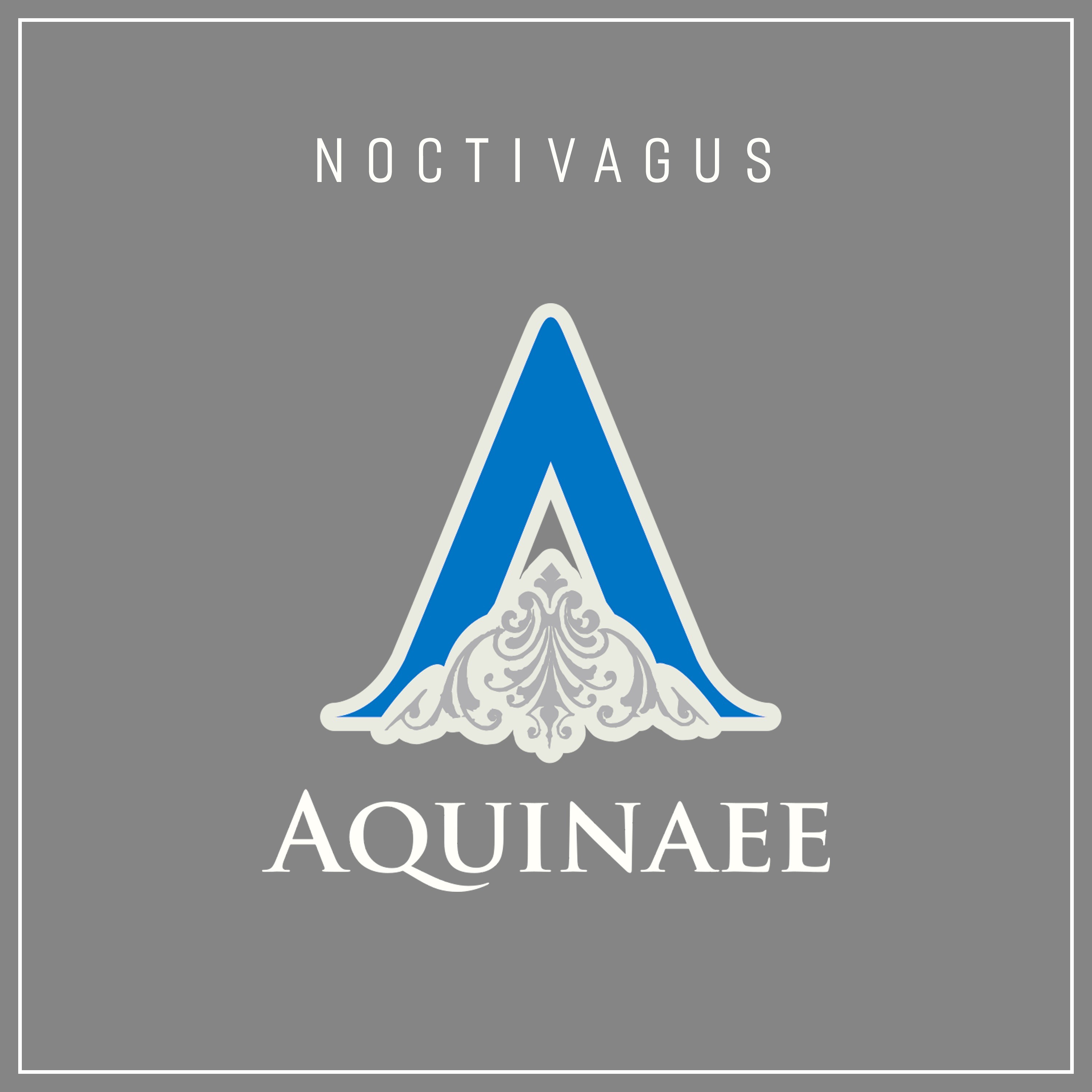 Noctivagus 1.1 episode artwork