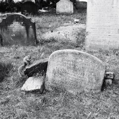 Careless Whisper - The Social Contract (Volcanic Remix)