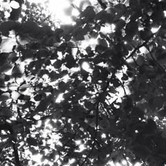 Careless Whisper (The Social Contract Cover)