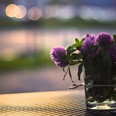 Stockflower (Biga - Woo Seung Ha 비가 - 우승하)