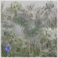 7minutesofxquisiteheaven16: Yem Gel - Gas - M Seabog ASMRgeo