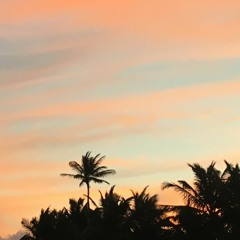 from tulum with love | jan 2017 | + tracklist