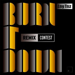 Burn It Down (Tyler Turner Remix)