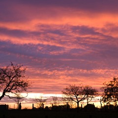 Poem - Dusk (2010)