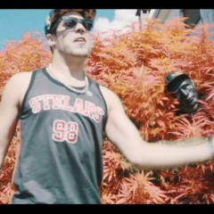 ELSOED - TE ROBAN LAS PLANTAS (OFICIAL) (tema revelación 2016)