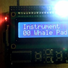 Samplerbox Drum Test - Gojira