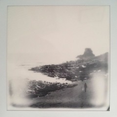 What I Needed To Know