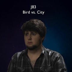 J83 - Bird vs. City