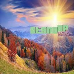 Wil Milton& Rodney Carter - Stand Up(TronicSoul Edit Mix)