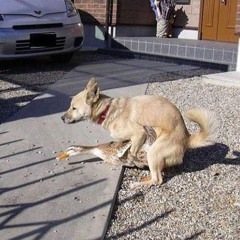 UFO Landed on my Head