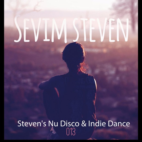 Steven's Nu Disco & Indie Dance 013 (08.01.2017)