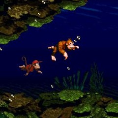Donkey Kong Country - Aquatic Ambience lounge