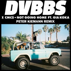 Not Going Home (Peter Kiemann Remix) [FREE DOWNLOAD]