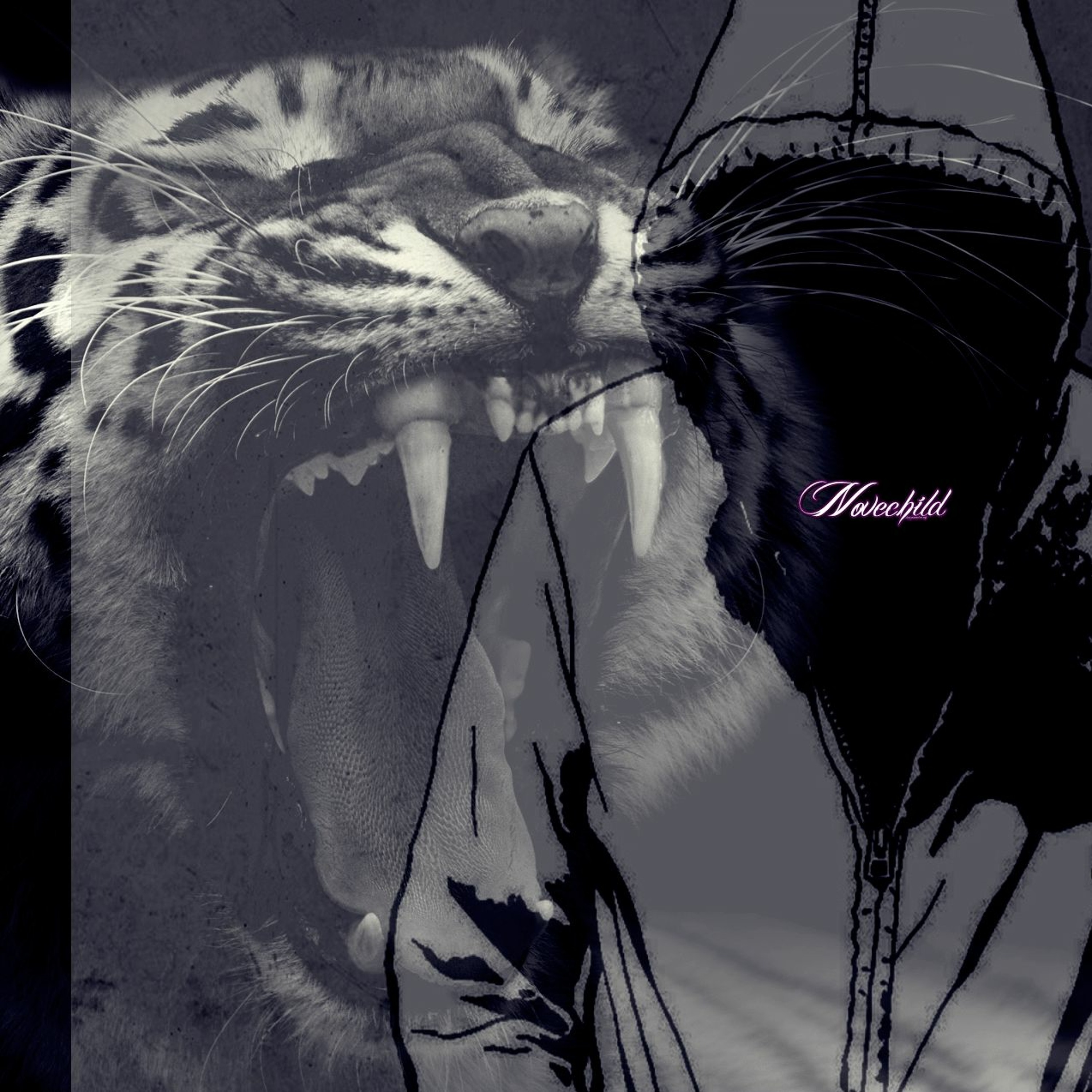 Animal of Prey episode artwork