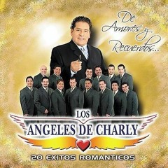 angeles de charly  mix