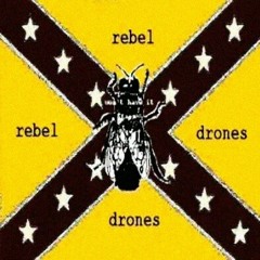 Rebel Drones - Drugs