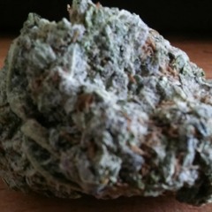 Curt gowdy holla @ me