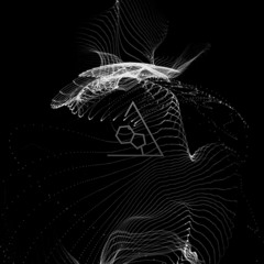 Raine & Roger Wilco & Subsets - Archive