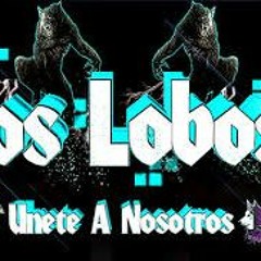 Me Burlare Fernando Tzcan