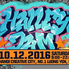 DJ Slowz ♫ 100% Vinyl Set At Halley Jam 2016