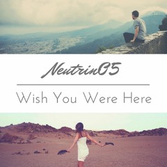 Neutrin05 - Wish You Were Here