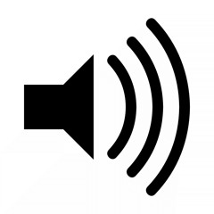 POS-Durchsage für Ladenkette