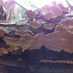 ELI XX- Good Time (Prod. ELI_XX)