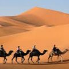 Caravan
