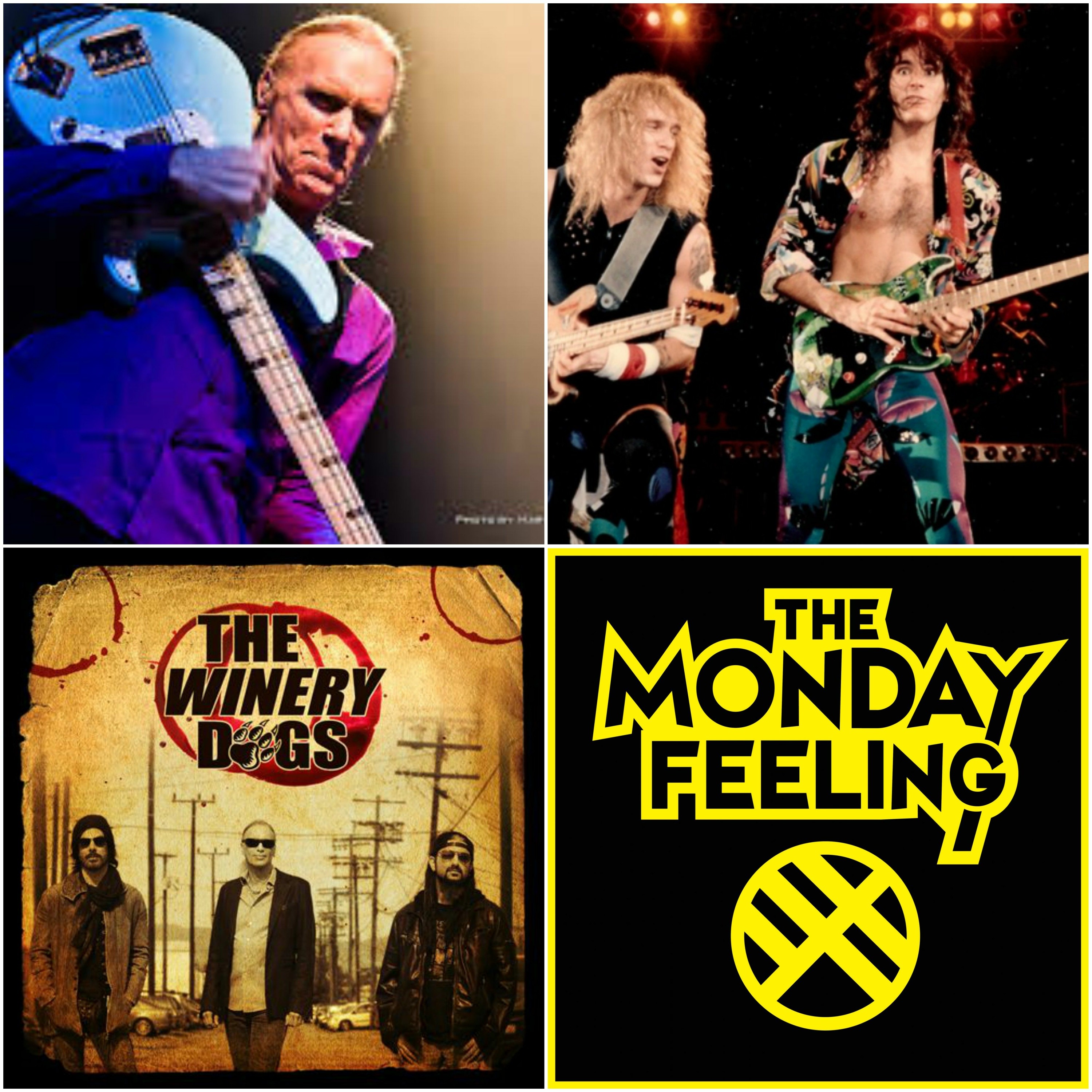 Episode 10 Billy Sheehan & The Monday Feeling