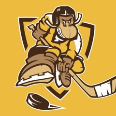 MPB Music - Mountain Monkeys