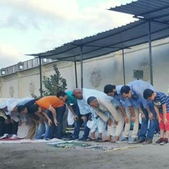 سورة القصص للشيخ تامر مسجد الشربيني