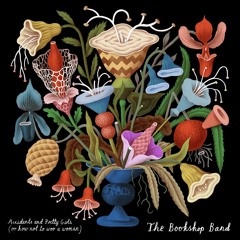 How Not To Woo A Woman (inspired by The Unlikely Pilgrimage Of Harold Fry, by Rachel Joyce)