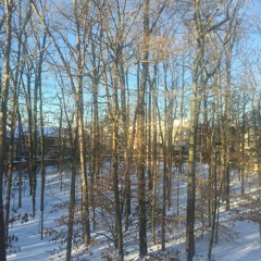 Good Morning Winter - Vietnamese Express