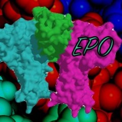 EPO - Open Collab Paploviante