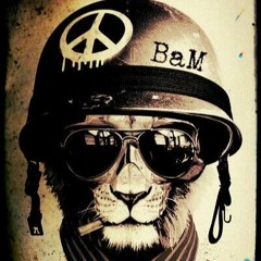 ☮ BaM ☮ - La Liberté Est Un Etat D'Esprit  [Wave_Quality_FreeDL]