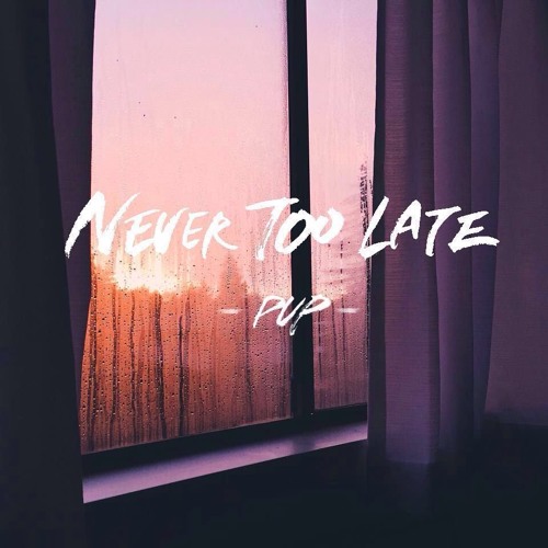 PUP - Never Too Late