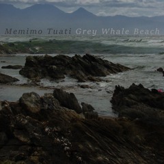 Grey Whale Beach by Memimo Tuati