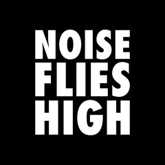 Tom-e Slim Live @ Noise Flies High