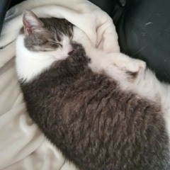 A Rush and a Push.wav